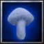 BTNMushroom