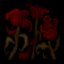 DISBTN