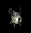 Super-Sheep's avatar