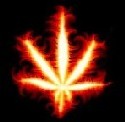 AliaZ's avatar