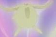 MapDreamer's avatar