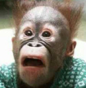 dopamine's avatar