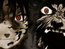rivalry14's avatar