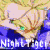 NightTiger's avatar
