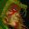 mdh13192's avatar