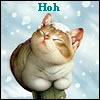Hoh's avatar