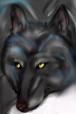 Shadowy_Ghost's avatar