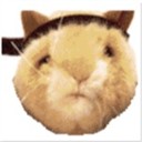 Moronicizer's avatar