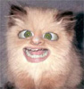 BlackSebastian's avatar