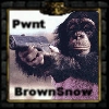 BrownSnow's avatar