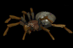 Lydorivan's avatar