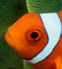 GonePostal's avatar