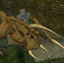 Crypt_Lord41's avatar