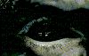 ButterflyCaught's avatar