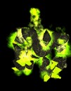 aiel_warrior's avatar