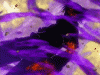 DeathXraveN's avatar