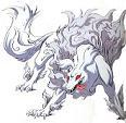 Rader's avatar