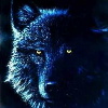 Spirit_Wolf's avatar