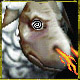 j3lademaster's avatar