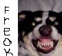 The_Freak's avatar