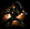 Guy's avatar