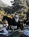 rapata's avatar