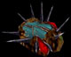 flying sheep's avatar