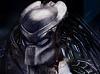 knight_rider's avatar