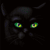 ^paranoia's avatar