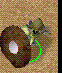 BuffMelon's avatar