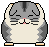 Marmota,Marmota's avatar