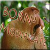 Born²Modificate's avatar