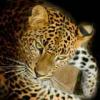 Alandar's avatar