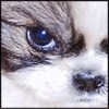 FatherOfAllSniping's avatar
