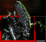 Carnalien's avatar