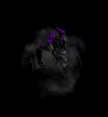 shadowmanifest's avatar